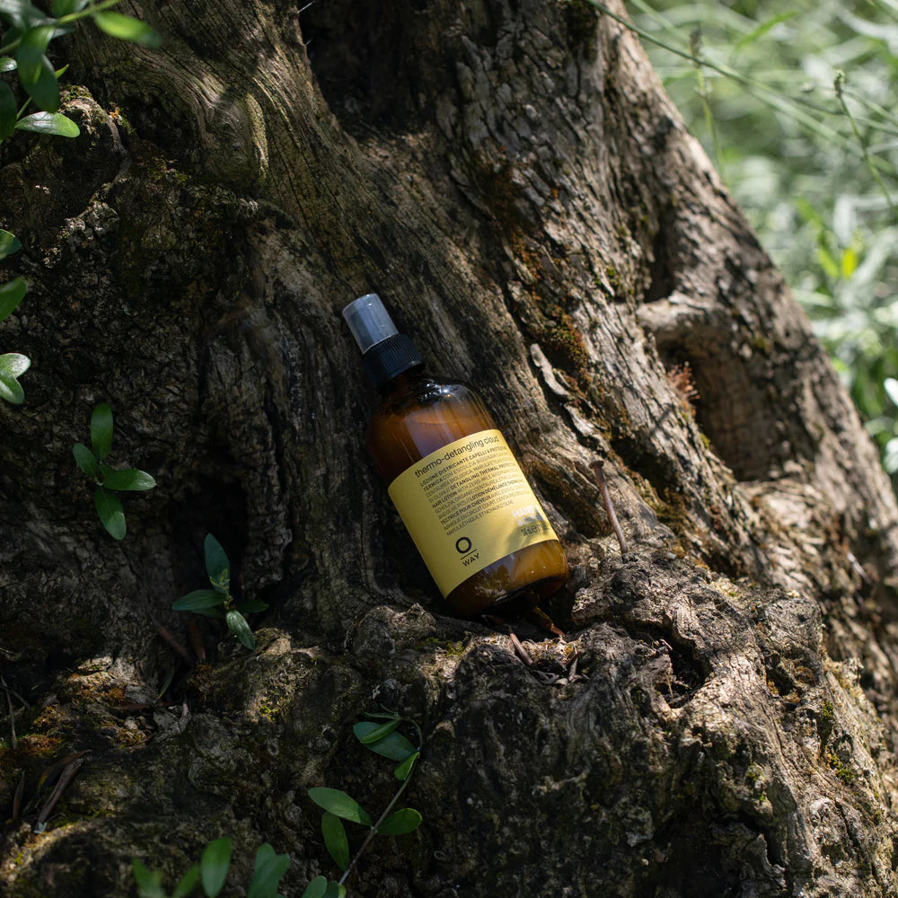 Oway Thermo-Detangling Cloud 240ml bottle resting against a tree trunk