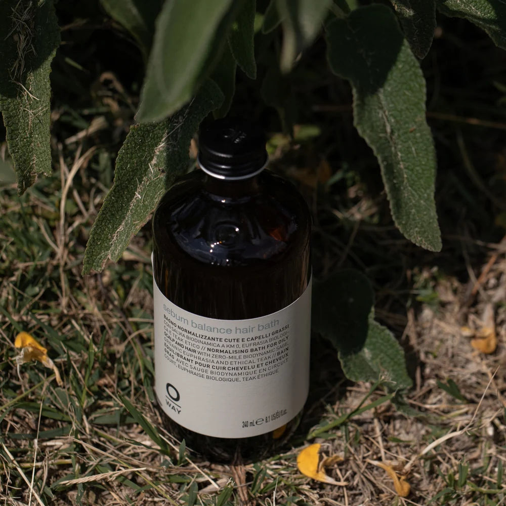 Oway Sebum Balance Hair Bath 240ml bottle photographed among green foliage