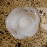 Creamy texture of Oway Curly Hair Co-Wash
