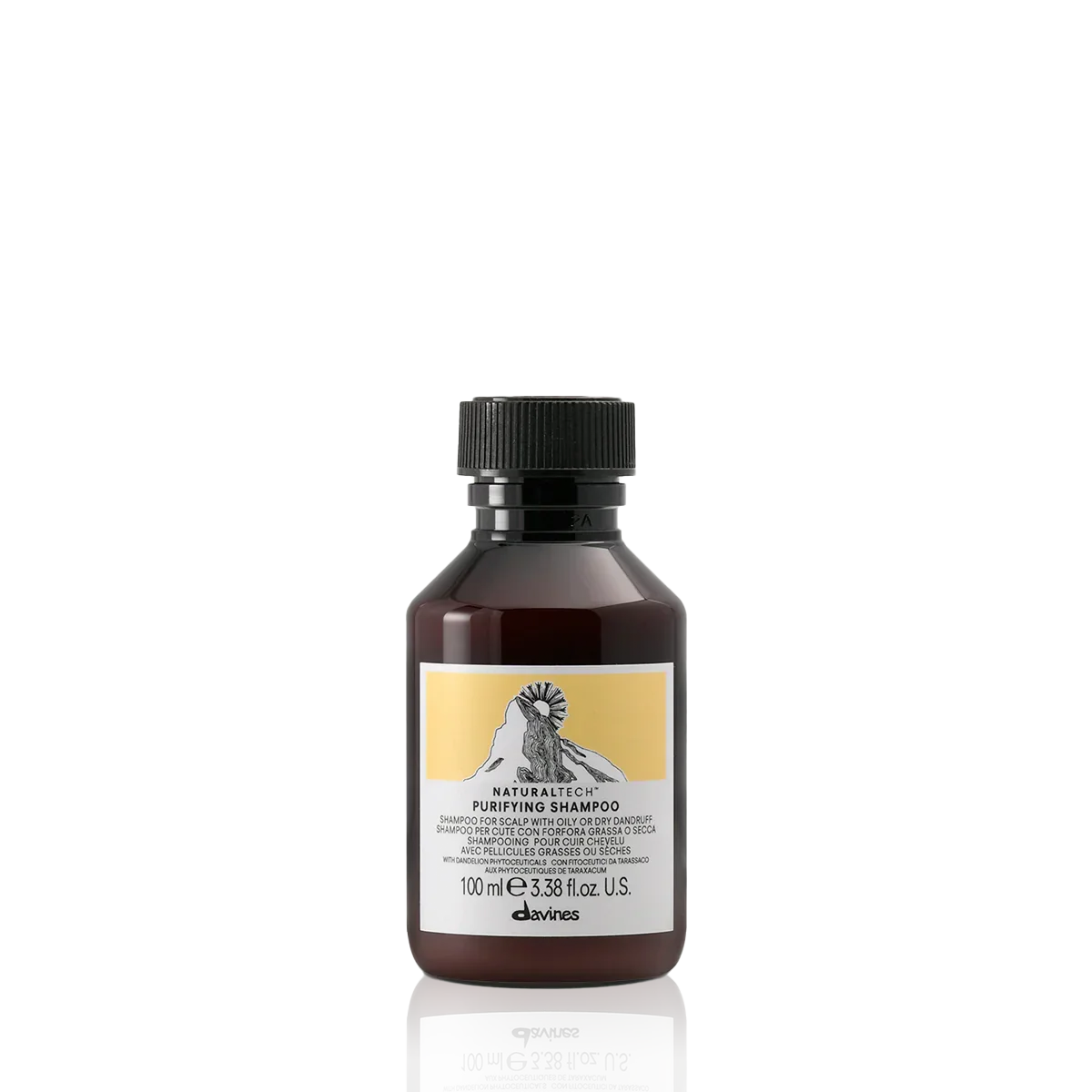 Davines Naturaltech Purifying Shampoo For Scalp with Oil or Dandruff - 250ml