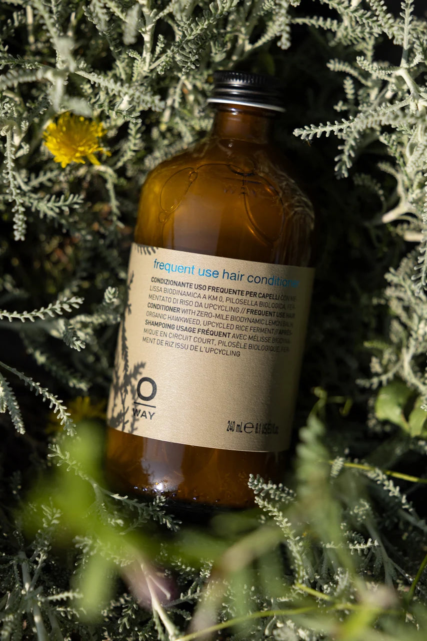 Oway Frequent Use Conditioner 240ml bottle nestled among foliage in sunlight