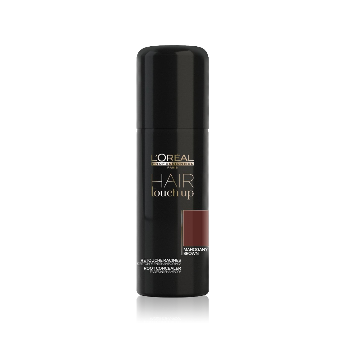 L'Oreal Professionnel Hair Touch Up | Paul Edmonds